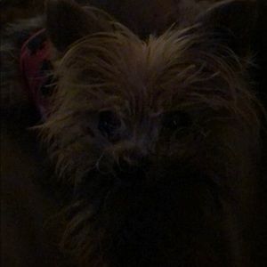 Meet your Posher, Cynthis